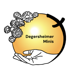 2024-neues-mini-logo